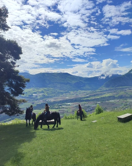 Passeggiata a cavallo con pranzo in rifugio 16 Passeggiata a cavallo con pranzo in rifugio 16